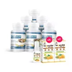 Benja Oil Securmin, a supplement to nourish the bone and prevent the knee osteoarthritis, 6 bottles, free Mouth Spray 15 ml.