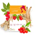 LEKCAPP 6 boxes of Herb Plus food supplements