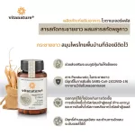 Vitanature+ Finger Root, Vitanger Plus products, Krachai extract Mixed with 4 bottles of bells