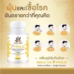 BENJA OIL B Prolis เบญจออยล์ บี โปรลิส ช่วยเสริมภูมิคุ้มกัน ป้องกันภูมิแพ้ 2 กระปุก 1 กระปุก 30 แคปซูล ฟรี 1 กระปุก