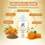 BENJA OIL B Prolis เบญจออยล์ บี โปรลิส ช่วยเสริมภูมิคุ้มกัน ป้องกันภูมิแพ้ 2 กระปุก 1 กระปุก 30 แคปซูล ฟรี 1 กระปุก