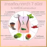 Panchita Sure, Pananchita Sure by Nui Sujira 15 capsule/1 box