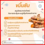 Ginger powder and turmeric capsule, Giffarine