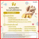 Ginger powder and turmeric capsule, Giffarine