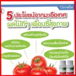 Giffarine Lycopene Giffarine Lycopene