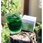 Chlorophyll Giffarine Chlorophyll C-O mixed vitamin C Oligo Fluke And fragrant apple extract