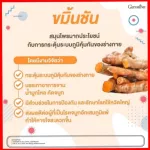 Attiju Drink and Turmeric Capsules, Giffarine immune supplements