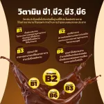 Amado Completo Cocoa Drink Amado Complete Cocoa Drink 10 sachets/box 1 box