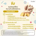 Ginger Giffarine Ginan-Giffarine Ginger-C Extract from ginger, ginger powder and vitamin C capsule