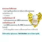 Rice oil, Giffarine Oreza-Erza-E