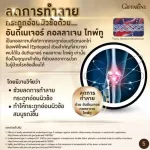 Nourishes collagen, UC, Gold Giffarine, joint pain, knee pain, osteoarthritis