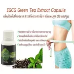Green tea, EGCG Giffarine, fat control Antioxidant