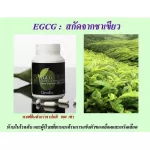 EGCG Giffarine Green Tea Extract /EGCG Giffarine Loses Weight Antioxidant