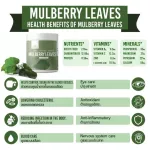 PM ใบเตยผสมใบหม่อน แบบซองพกพา uSmile101  ผลิตภัณฑ์เสริมอาหาร บำรุงร่างกาย