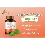 บาลานส์ โปร  มิกซ์ 30 แคปซูล