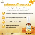 บาลานส์ โพรพอลิส กระชาย เลม่อน พลัส เม้าท์สเปรย์