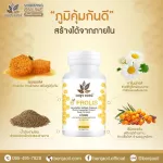 Benj Oil B Pro Lis 30 Capsules