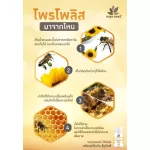 Benj Oil B Pro Lis 30 Capsules