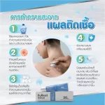 ชุดเซ็ทคู่ เร่งสวย ราคาพิเศษ Fullext ointment 20g หลอดใหญ่ + Centella asiatica บัวบก 1 กระปุก  ลดบวมช้ำ ลดรอยแผล หลังผ่าตัด,ศัลยกรรม  พร้อมส่ง