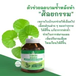 ชุดเซ็ทคู่ เร่งสวย ราคาพิเศษ Fullext ointment 20g หลอดใหญ่ + Centella asiatica บัวบก 1 กระปุก  ลดบวมช้ำ ลดรอยแผล หลังผ่าตัด,ศัลยกรรม  พร้อมส่ง