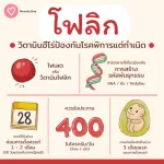 Set วิตามินเตรียมตั้งครรภ์ ทานได้ 2 เดือน Seres อิโนซิทอล  + Folic acid โฟลิก  วิตามินคนท้อง