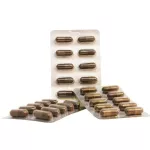 10 Get 1 Surapol Extract from Ganoderma Lucidum, Suraphon 500 mg, 10 boxes, 300 capsules, 1 free box