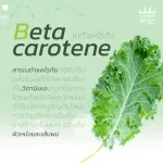 ผักนาโน uSmile101ผงผักเคล