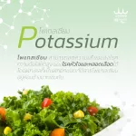 ผักนาโน uSmile101ผงผักเคล