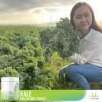 ผักนาโน uSmile101ผงผักเคล