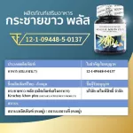 Krachai White Dietary Supplement