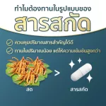 Krachai White Dietary Supplement