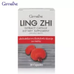 Giffarine Giffarine Ganoderma lucidum extract Lingzh Extract Capsule 30 capsule 79201