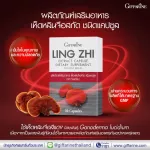 Giffarine Giffarine Ganoderma lucidum extract Lingzh Extract Capsule 30 capsule 79201