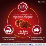 Giffarine Giffarine Ganoderma lucidum extract Lingzh Extract Capsule 30 capsule 79201