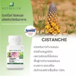 Amway Cistanche ซิสแทนเช บำรุงสมอง 60เม็ด