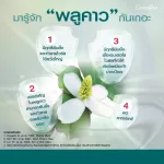 กิฟฟารีน เบต้า พลูคาว ผลิตภัณฑ์เสริมอาหาร พลูคาวสกัด ผสมเบต้า-กลูแคน