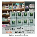 กิฟฟารีน ขมิ้นชัน ชนิดแคปซูล บรรเทาอาการ ท้องผูก ท้องเฟ้อ จุกเสียด