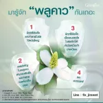 เบต้า พลูคาว กิฟฟารีน Beta Plu Kao Giffarine ผสมเบต้า-กลูแคน ภูมิแพ้ เป็นหวัด