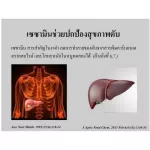 Giffarine Sesami-Giffarine Sesame-S, Giffarine