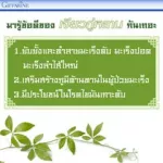 เจียวกู่หลาน ปรับระดับคอลเรสเตอรอล กิฟฟารีน ลดน้ำตาลในเลือด ลดอาการอักเสบ หลอดลมเรื้อรัง  giffarine jiaogulan-250