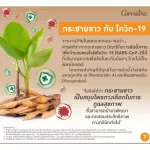 Krachai White Giffarine, Krachai, Capsules, Krachai-Plus, strengthening the body's immunity to strengthen the element. Warm body