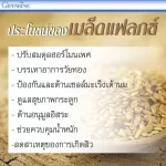 ไบโอแฟลก Bio Flax Plus ไบโอแฟลกซ์ พลัส 60 แคปซูล ของแท้100% Bio Flex plus 60 เม็ด อาหารเสริมวัยทอง สารสกัดเมล็ดแฟลกซ์