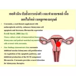 ขมิ้นชันอาหารเสริมกิฟฟารีน ผงขมิ้นสกัด 60 แคปซูล วิตามินซี curcuma ce สมุนไพรแก้ กรดไหลย้อน โรคกระเพาะ ท้องอืด+เฟ้อ