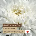 Glou U GO.O.O.O.Out dietary supplement supplements to take care of gout Adjusting high uric acid to normal conditions