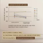 Glou U GO.O.O.O.Out dietary supplement supplements to take care of gout Adjusting high uric acid to 5 boxes