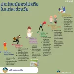 โปรตีนจากพืช100% โปรตีนวีแกน กิฟฟารีน วีแกน มัลติ แพลนท์ โปรตีน 2สูตร ขนาด 8 ซอง