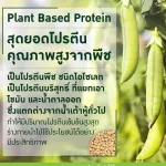 Vigan Giffarine Giffarine Giffarine Vegan Multi Plant Protein, soybean protein, golden oven No lactose