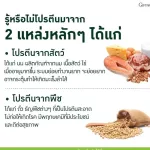 Vigan Giffarine Giffarine Giffarine Vegan Multi Plant Protein, soybean protein, golden oven No lactose