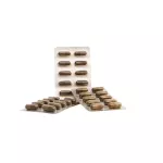 3 boxes, Dr.Surapol, Ganoderma Lucidum Extract, Dr. Suraphon 500 milligrams/ 30 capsules