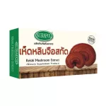 dr.surapol เซต 5 กล่อง surapol เห็ดหลินจือสกัด ตรา สุรพล 5 กล่อง/ 250 มิลลิกรัม/ 30 แคปซูล